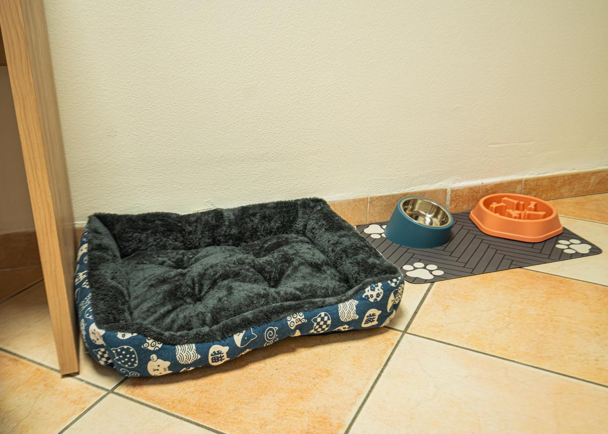 Hotel Aldebaran Rimini Extérieur photo